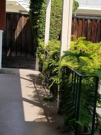 Desirable Mountain View 4 Bed + 3.5 Bath + Office Home. Close To Downtown Mountain View. Great Location. photo 3