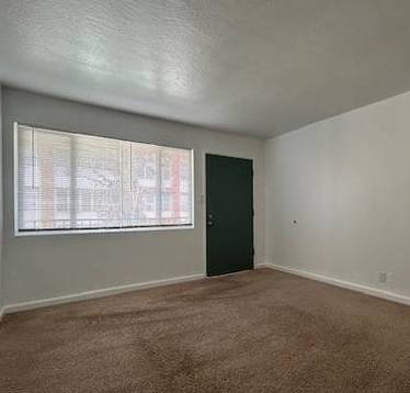 1BR/1BA Apartment · Berkeley photo 4
