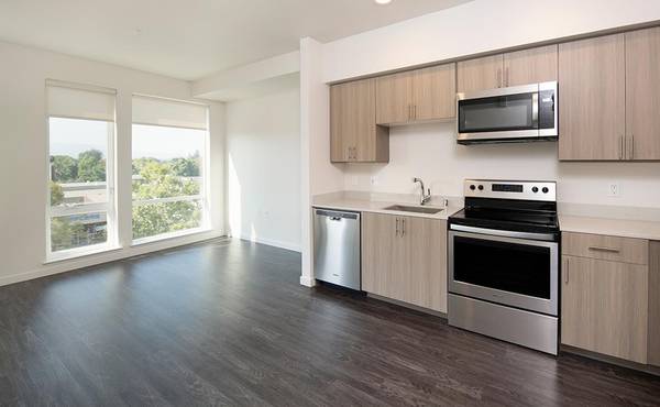 1BR/1BA Apartment · San Jose photo 3