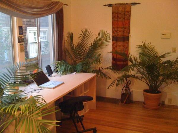 1BR/1BA Apartment · Berkeley photo 4