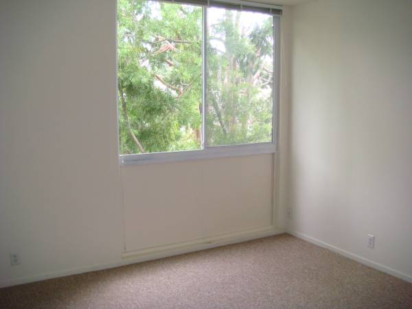 3BR/3BA Apartment · Berkeley photo 5