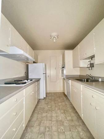 1BR/1BA Apartment · Berkeley photo 2