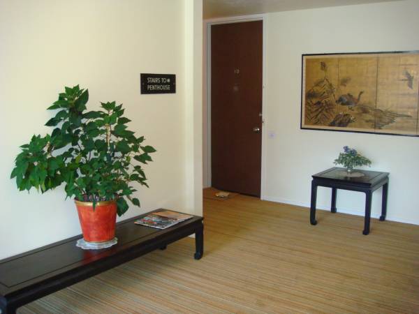 3BR/2BA Apartment · Berkeley photo 5