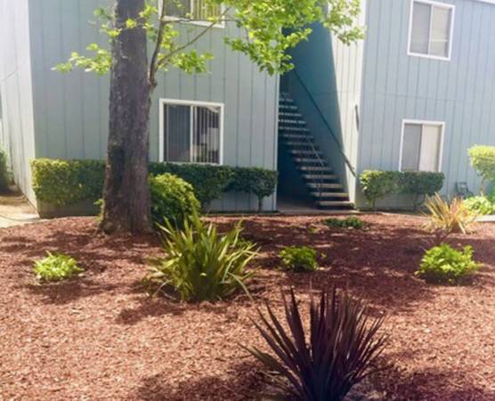 2BR/1BA Apartment · Santa Cruz photo 2