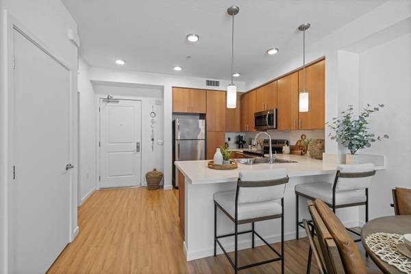 1BR/1BA Apartment · Milpitas photo 5