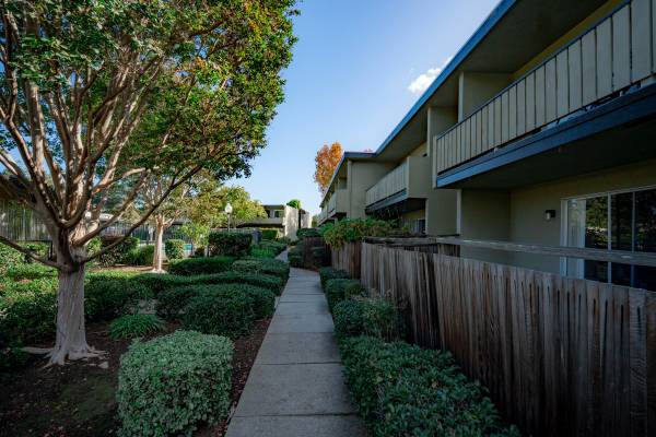 Apartments on Easy St · Mountain View photo 5