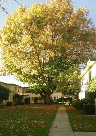 2BR/1BA Townhouse · San Leandro photo 2