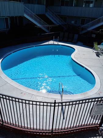 Ming Tree Apartments photo 2
