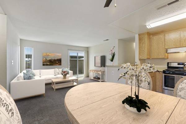 2BR/2BA Apartment · Tracy photo 5