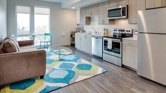1BR/1BA Apartment · San Jose photo 4