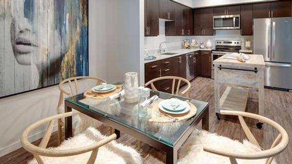 1BR/1BA Apartment · San Jose photo 5