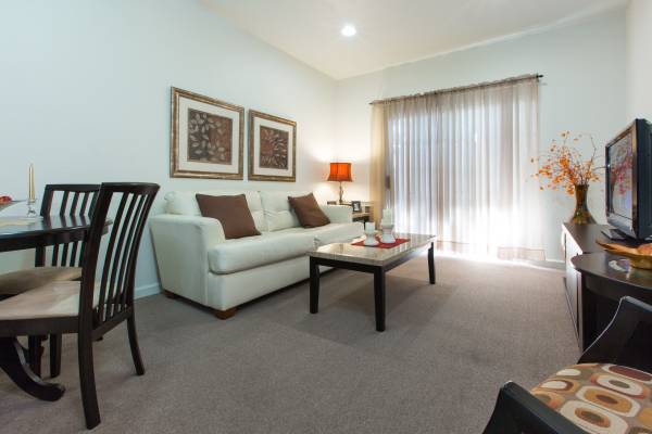 1BR/1BA Apartment · San Jose photo 3