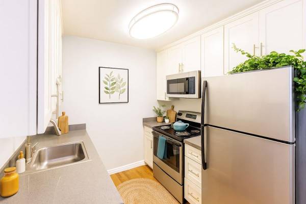 Apartments on Sycamore St · Newark photo 3