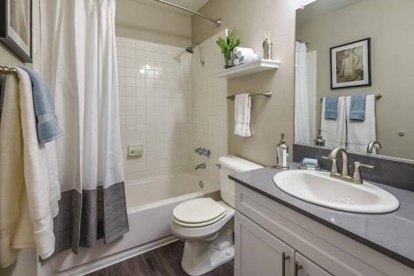 Apartments on Fruitdale Ave · San Jose photo 4