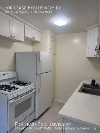 1BR/1BA Apartment on Main St · Santa Clara photo 4