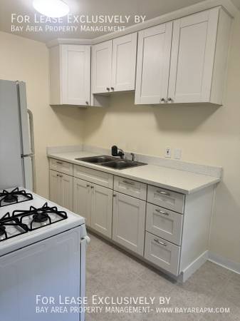 1BR/1BA Apartment on Main St · Santa Clara photo 3