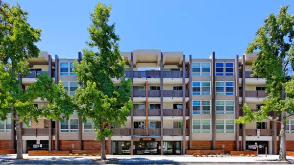 1BR/1BA Apartment · Oakland photo 2