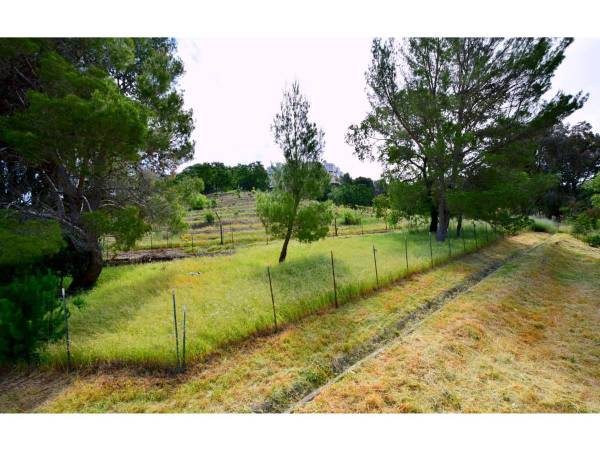 2BR/1BA Apartment · San Rafael photo 2
