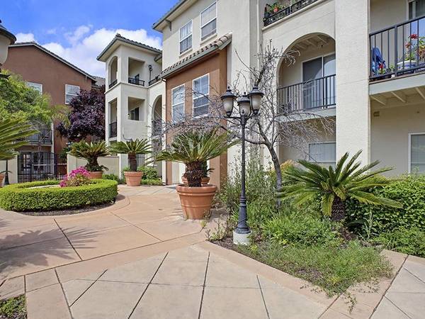 Apartments on Nuestra Castillo Court · San Jose photo 3