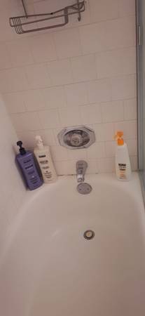 1BR/1BA Apartment · Martinez photo 2