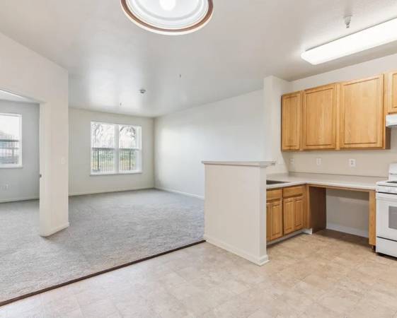 Hacienda Creek Senior Apartments photo 3