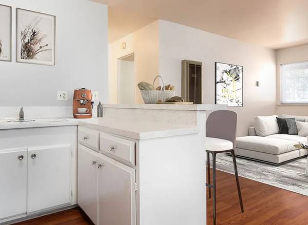 Park Villa Apartments photo 5