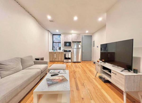 1BR/1BA Apartment · Bronx photo 2