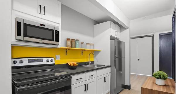 1BR/1BA Apartment · Brooklyn photo 4