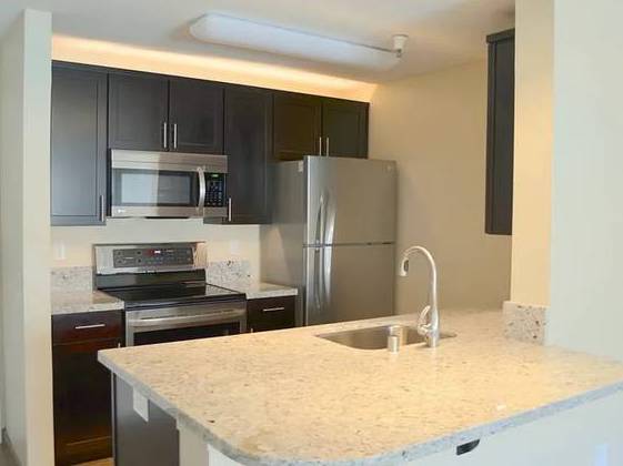 2BR/1BA Apartment · Berkeley photo 3