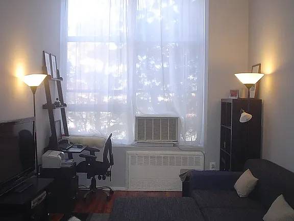 1BR/1BA Apartment · Jamaica photo 3