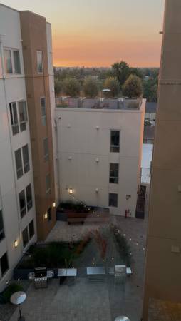 1BR Apartment · San Jose photo 3