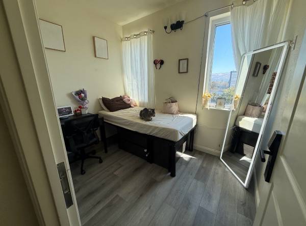 1BR Apartment · San Jose photo 2