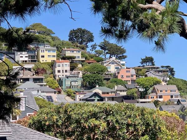 1BR/1BA Apartment on Valley Street · Sausalito photo 2