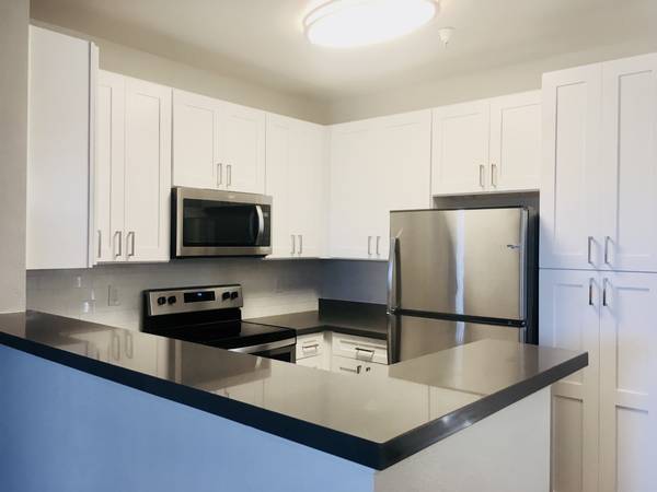 1BR/1BA Apartment · San Jose photo 4