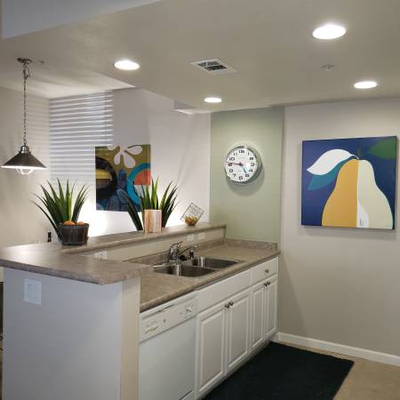 1BR/1BA Apartment · Gilroy photo 4
