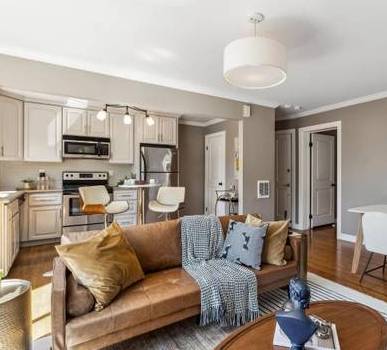 1BR/1BA Apartment · San Francisco photo 4