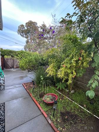In Law Adus on San Rafael Ave. · San Anselmo photo 2
