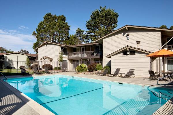 Crystal Springs Terrace photo 4