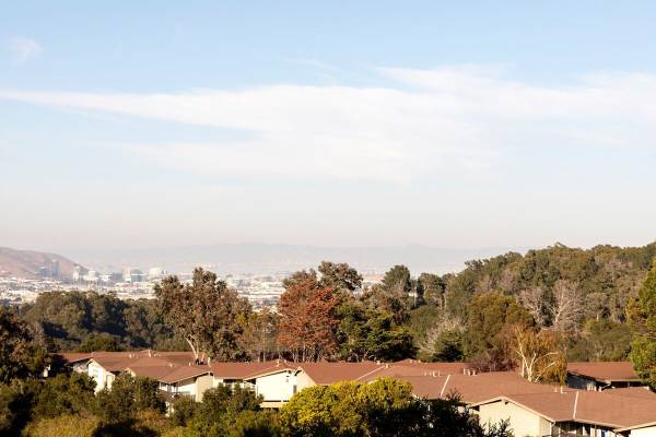 Crystal Springs Terrace photo 3