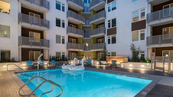 1BR/1BA Apartment · San Jose photo 2