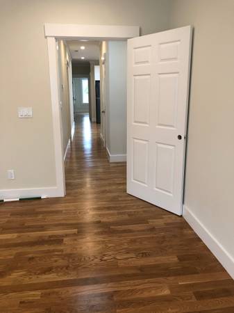 1BR Apartment · San Francisco photo 3