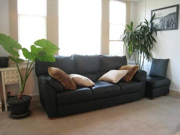 1BR/1BA Apartment on 7th St · Petaluma photo 4