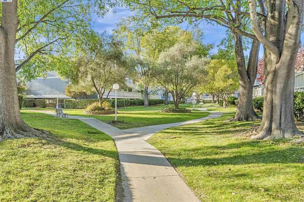 1BR/1BA Condo on Oakwood Ter · Fremont photo 4