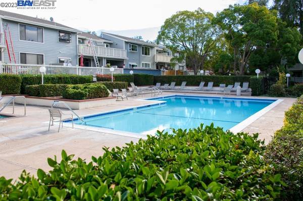 1BR/1BA Condo on Buttonwood Ter · Fremont photo 4