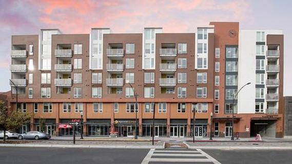1BR/1BA Apartment · San Jose photo 4