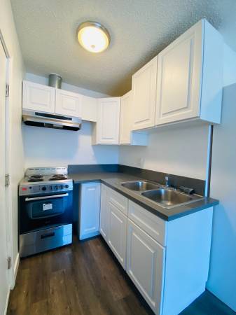 1BR/1BA Apartment · San Francisco photo 5