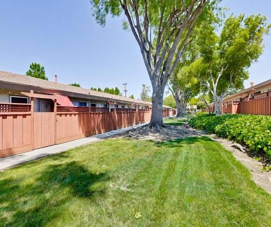 Apartments on Mangrove Ave · Sunnyvale photo 5