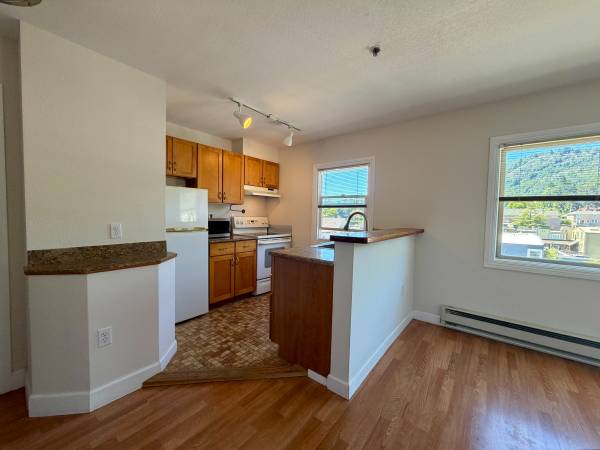 0BR/1BA Apartment · Larkspur photo 2