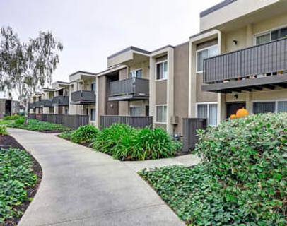 Apartments on Loma Verde Drive · Campbell photo 4