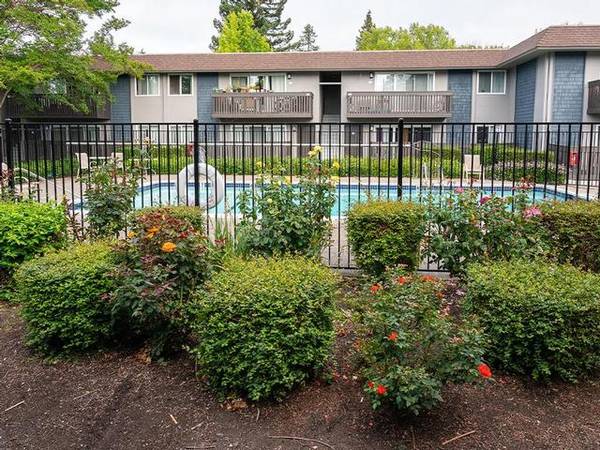 Apartments on Diablo Ave. · Novato photo 3